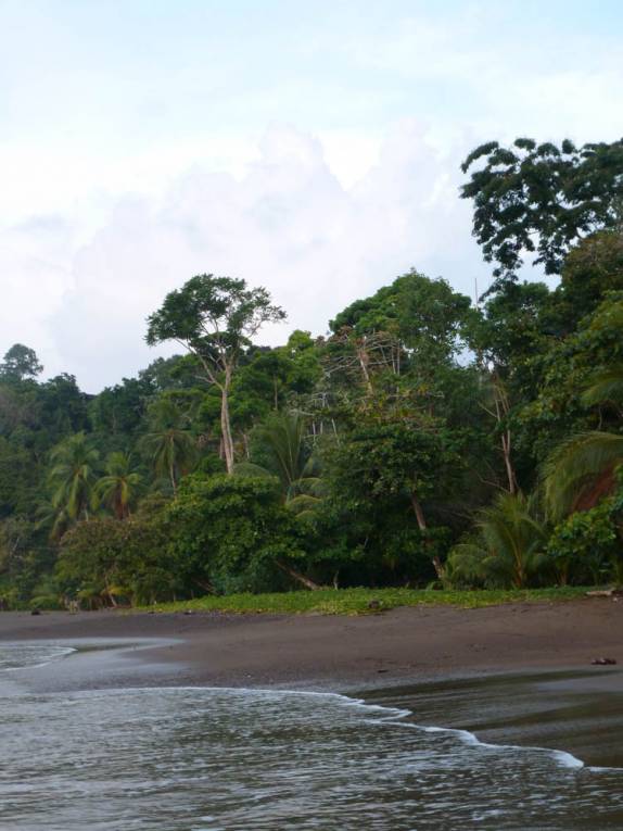 Praia de areias escuras em Bahía Drake, na Península de Osa, no sul da Costa Rica